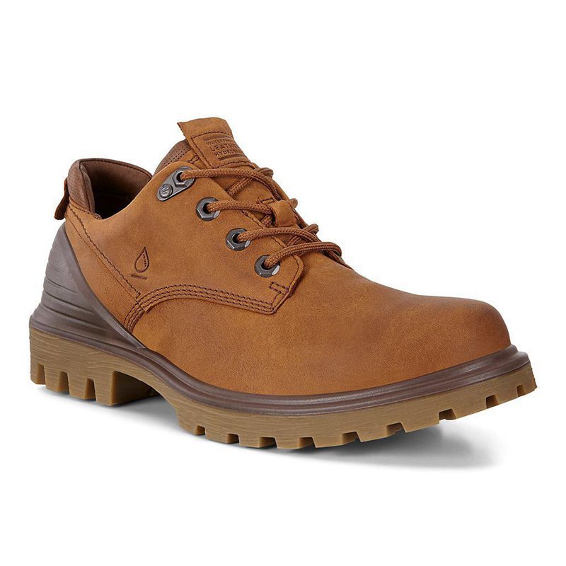 Men Casual Ecco Tredtray M - Derby Brown - India BOZTCF718